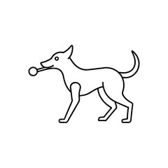 Thin lined dog holding a ball