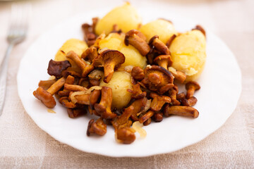 Delicious fried chanterelles with new potatoes on a white plate