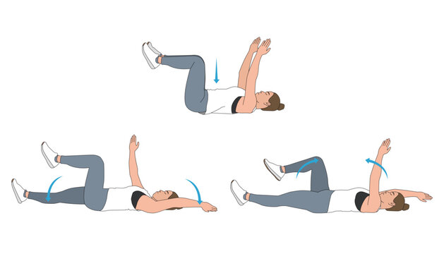 Dead Bug Core Exercise Step-by-Step Instruction Vector