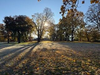  Panorama of a sunny day, wide banner, panoramic view. travel vintage perspective outside shine photo warm illuminated central forrest shade country footpath september branch destination peaceful alle