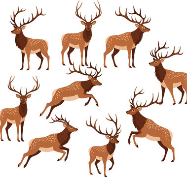 A collection of stylized male elk illustrations in various dynamic poses showcasing their large branching antlers and powerful stances.