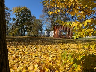 Panorama of a sunny day, wide banner, panoramic view. travel vintage perspective outside shine photo warm illuminated central forrest shade country footpath september branch destination peaceful alle