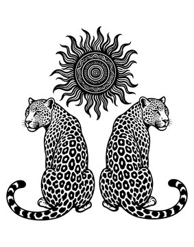 Sun and Leopards