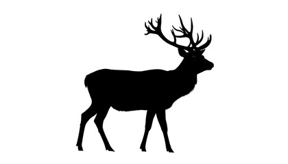 Silhouette of a deer standing sideways, detailed antlers, on a plain white backdrop