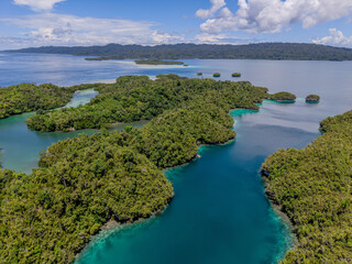 Obraz premium Aerial view of lush tropical mangrove forest and shallow turquoise lagoon in Raja Ampat, Indonesia. 