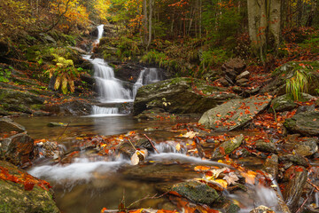 waterfall, autumn, water, nature, landscape, stream, river, forest, cascade, falls, fall, rock, stone, tree, rocks, creek, travel, moss, natural, park, flow, flowing, beautiful, wet, green