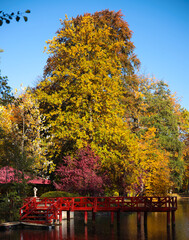 Pałac, Park, Mała Wieś, Poland, mazowieckie , jesień, kolory