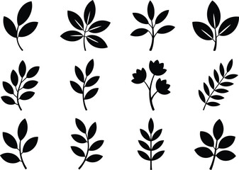 Set of diverse botanical elements featuring delicate hand-drawn leaf and branch designs silhouette
