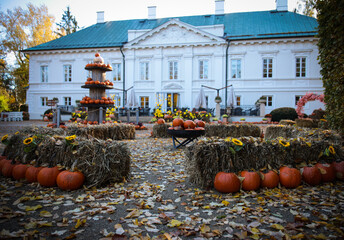 Pałac, Park, Mała Wieś, Poland, mazowieckie , jesień, kolory