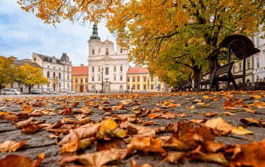 City, architecture, square, Uhersk&eacute; Hradi&scaron;tě, center, history, fountain, church, trees, cathedral