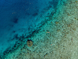 Aerial view of vibrant coral reef under clear turquoise water in Raja Ampat, Indonesia.  
