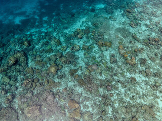 Aerial view of vibrant coral reef under clear turquoise water in Raja Ampat, Indonesia.  
