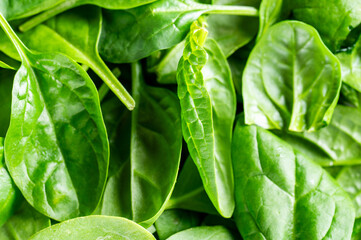 A macro close-up of fresh, vibrant green spinach leaves, filling the frame. The leaves are clean, raw, and appear healthy, with a soft focus creating a natural texture