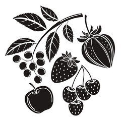 Black and white illustration of various berries