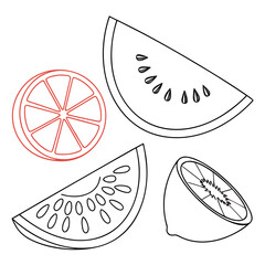 Citrus fruit slices in a simple line drawing
