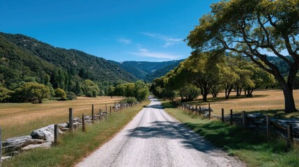 A Tree Lined Dirt Road Winding Through a Grassy Valley Under a Bright Blue Sky with Rolling Hills in the Background