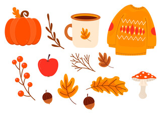 Cute autumn elements, ,cocoa  cup, pumpkin, warm clothes, fall season design element, acorns with leaves, mushroom and berries.