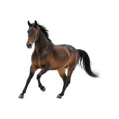 Obraz premium Brown horse running gracefully Generative AI