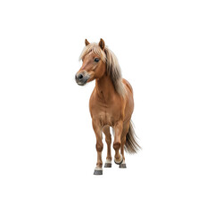 Naklejka premium Small pony walking forward Generative AI