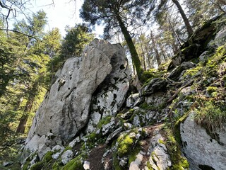 Strict nature reserve White rocks (Croatia) - Strenges Naturschutzgebiet Bijele Stijene (Kroatien) - Strogi rezervat prirode Bijele stijene, Ogulin (Gorski kotar, Hrvatska)