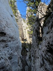 Strict nature reserve White rocks (Croatia) - Strenges Naturschutzgebiet Bijele Stijene (Kroatien) - Strogi rezervat prirode Bijele stijene, Ogulin (Gorski kotar, Hrvatska)
