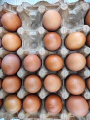 Fresh brown eggs ready for baking displayed in a carton for culinary needs
