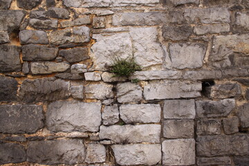 Old Window in Brick Wall
Weathered window framed by aged, cracked, and neglected bricks.
