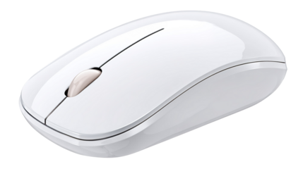 Computer mouse on white background