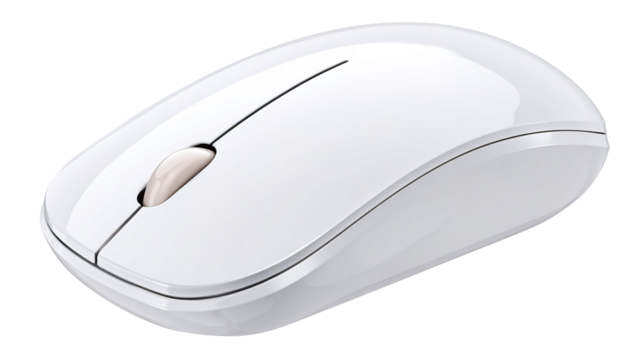 Computer mouse on white background