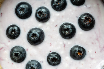 Close-Up of Yogurt with Blueberries