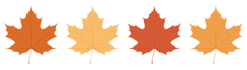 Vector illustrations of maple leaves in autumn colour palette isolated on a white background.	
