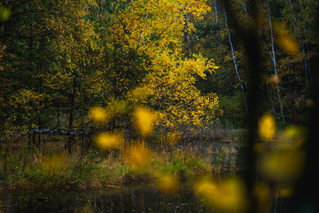 Dolina Żabnika in Jaworzno, Poland © LCH photo gallery
