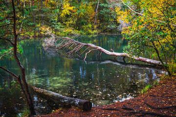 Dolina Żabnika in Jaworzno, Poland © LCH photo gallery