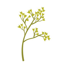 Minimalist isolated green herb branch inspired by Poland nature on white background vector illustration