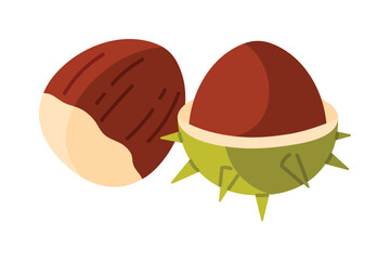 Simple isolated chestnut nut with shell and seed, perfect for Poland nature or food themes vector illustration