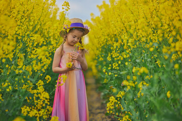 charming child in sundress in a rapeseed field