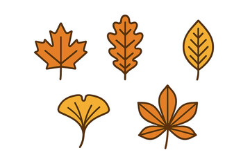 Obraz premium Assortment of colorful autumn leaves including maple, oak, and ginkgo