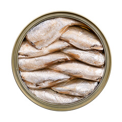 Sardines, with skin and bones, in vegetable oil, in a tin can, from above. Canned, wild caught sardines, European pilchards, Sardina pilchardus, small and oily fish, and source of omega-3 fatty acids.