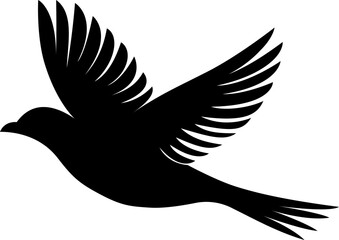 Fototapeta premium Eagle birds vector