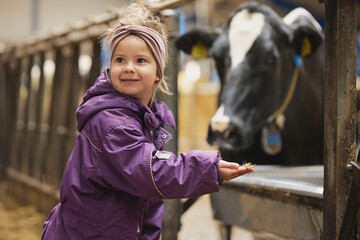Charming child on a cows farm in Denmark