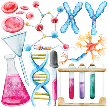 watercolor science elements, biology, medical clip art preview