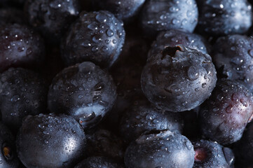 新鮮なブルーベリーのクローズアップ