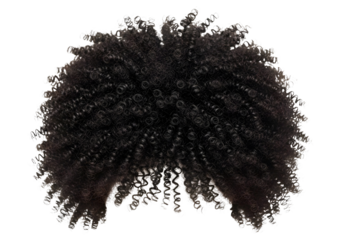 A large black afro hairstyle isolated on white background