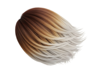 Realistic blonde brown ombre hair strand isolated on transparent background