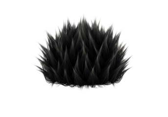 A large black afro hairstyle isolated on white background