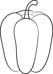 Bell pepper line drawing, black and white vector illustration, vegetable outline sketch, botanical design template, food coloring page, minimal art