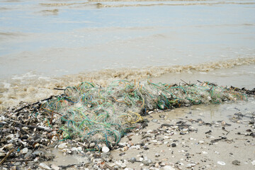 shell laden beach scene with sea water, sand, rocks, and distant shoreline on the horizon, calm