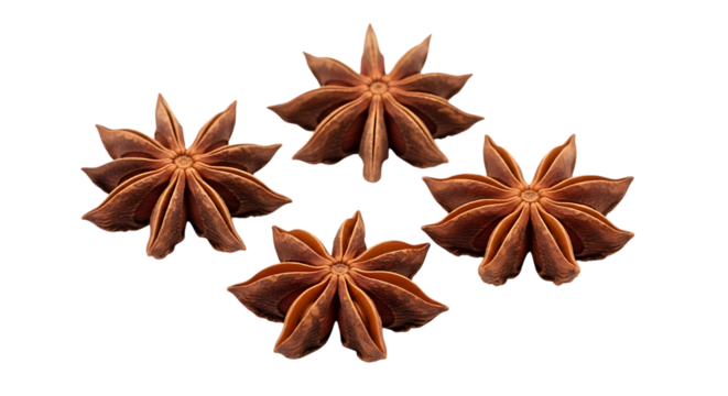 Four star anise spice pods arranged in a diamond shape isolated on transparent background