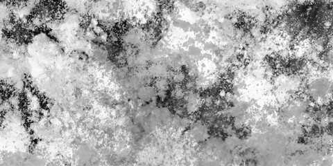 Abstract silver leaf texture high resolution, light gray seamless backdrop with gentle gradient texture, Soft white powder clean nature panoramic view Ideal for seasonal Design.