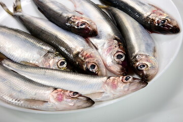 Fototapeta premium lots of Fresh whole Baltic herring Clupea harengus membras on a white plate on a white background